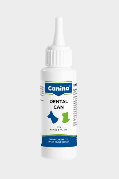 Dental Can 