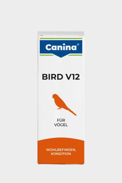 Bird V12 