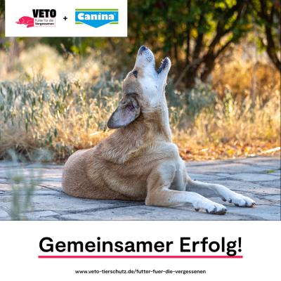 VETO - Tierschutz mit Canina® - Canina® unterstützt VETO (Europas Stimme für Tierschutz)
